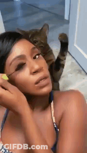 A Woman Is Applying Makeup While A Cat Is Sitting On Her Face . GIF