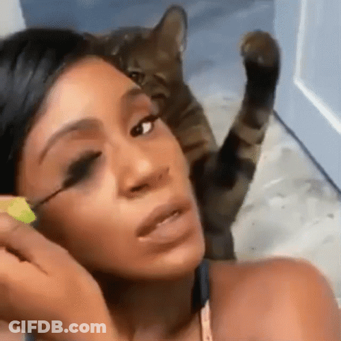 A Woman Is Applying Mascara While A Cat Looks On .. GIF