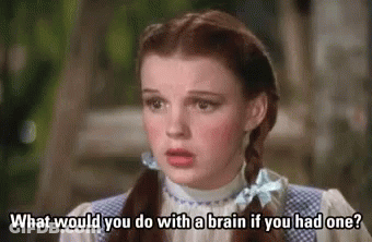 A Woman Is Asking What Would You Do With A Brain If You Had One ? GIF