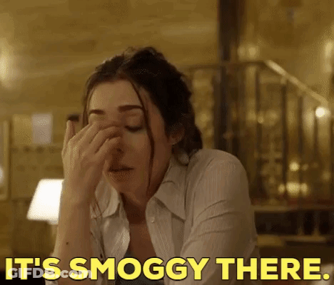 A Woman Is Covering Her Nose With Her Hand And The Words `` It 'S Smoggy There '' Are Written Above Her . GIF
