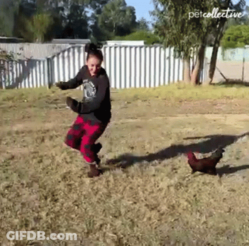 A Woman Is Dancing With A Chicken In A Field With Petcollective Written On The Bottom Right GIF