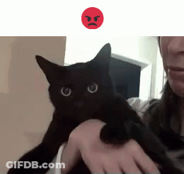 A Woman Is Holding A Black Cat With A Red Angry Face Behind It GIF