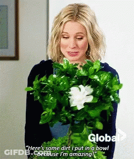 A Woman Is Holding A Bouquet Of Green Flowers And Says " Here 'S Some Dirt " GIF