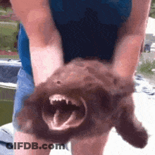 A Woman Is Holding A Brown Dog With Its Mouth Open And Teeth Showing . GIF