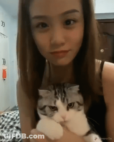 A Woman Is Holding A Cat In Her Arms And The Cat Is Looking At The Camera With A Watermark That Says Mora Go GIF
