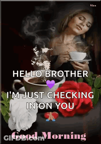 A Woman Is Holding A Cup Of Coffee With The Words Hello Brother I 'M Just Checking In On You GIF
