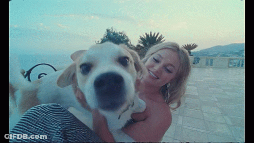 A Woman Is Holding A Dog In Her Arms And The Dog Is Looking At The Camera GIF