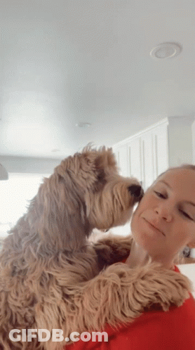 A Woman Is Holding A Dog In Her Arms And The Dog Is Sniffing The Woman 'S Face GIF