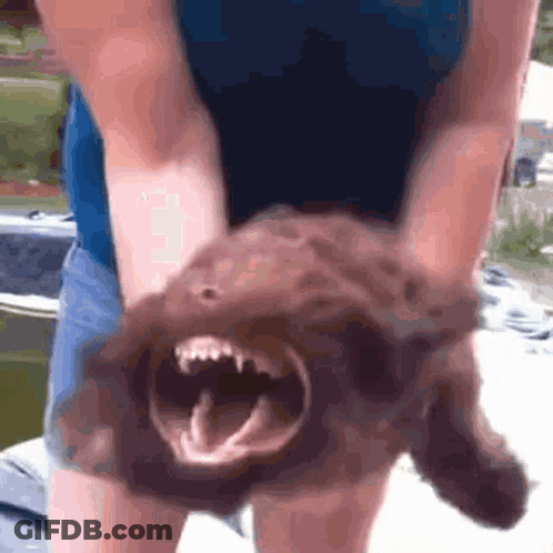 A Woman Is Holding A Dog With Its Mouth Wide Open GIF