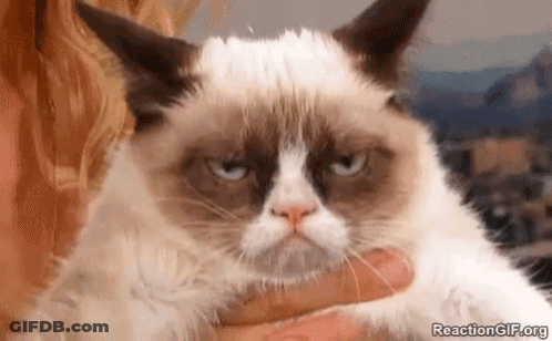 A Woman Is Holding A Grumpy Cat In Her Arms And It Is Looking At The Camera . GIF
