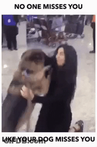 A Woman Is Holding A Large Dog In Her Arms And Says No One Misses You Like Your Dog Misses You . GIF