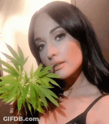 A Woman Is Holding A Marijuana Plant In Her Hand GIF