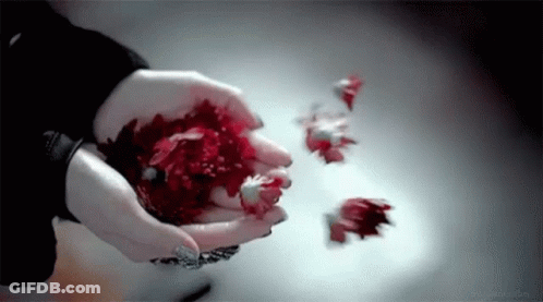 A Woman Is Holding A Red Flower In Her Hands And Petals Are Falling From Her Hands . GIF