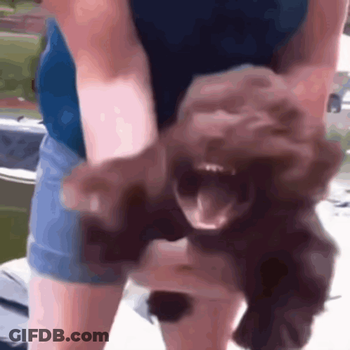 A Woman Is Holding A Small Dog With Its Mouth Open . GIF