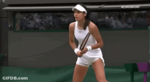A Woman Is Holding A Tennis Racket On A Tennis Court . GIF
