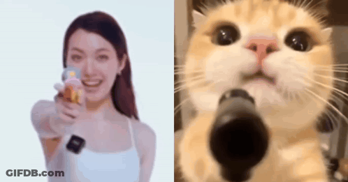 A Woman Is Holding A Toy Gun Next To A Cat That Is Holding A Toy Gun . GIF