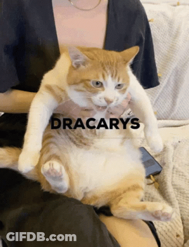 A Woman Is Holding An Orange And White Cat With The Word Dracarys On The Bottom Right GIF