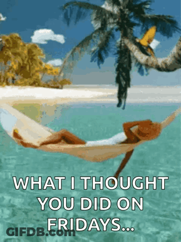 A Woman Is Laying In A Hammock In The Ocean With The Words What I Thought You Did On Fridays Below Her GIF