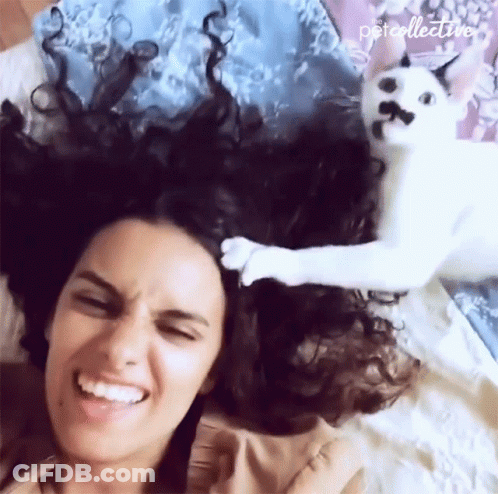 A Woman Is Laying On A Bed With A Cat On Her Head And The Words Petcollective Are On The Bottom GIF