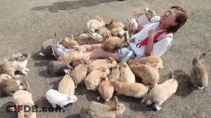 A Woman Is Laying On The Ground Surrounded By A Bunch Of Bunnies . GIF