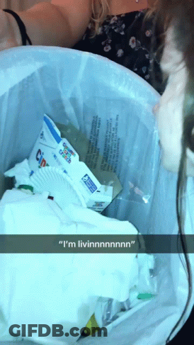 A Woman Is Looking Into A Trash Can And Says " I 'M Livinnnnn " GIF