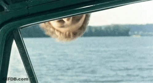 A Woman Is Looking Out Of A Car Window At The Water . GIF