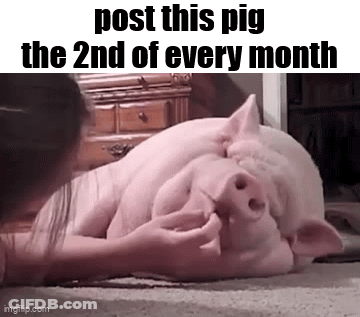 A Woman Is Petting A Pig That Is Laying On The Floor With The Words `` Post This Pig The 2Nd Of Every Month '' . GIF