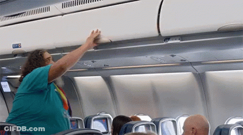 A Woman Is Reaching For Something In The Overhead Luggage Compartment On An Airplane . GIF