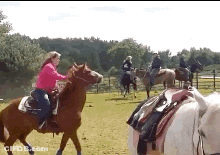 A Woman Is Riding A Horse In A Field With Other People . GIF