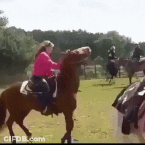 A Woman Is Riding A Horse In A Field With Other People Riding Horses . GIF