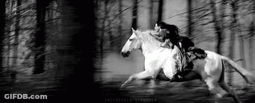 A Woman Is Riding On The Back Of A White Horse Through A Forest . GIF