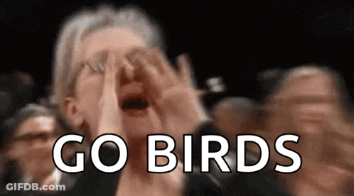 A Woman Is Screaming In A Crowd With The Words Go Birds Written In White GIF