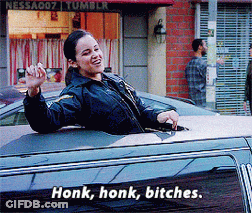 A Woman Is Sitting In A Car With Honk Honk Bitches Written On The Side GIF