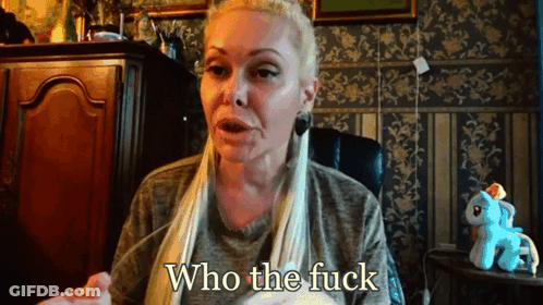 A Woman Is Sitting In Front Of A Stuffed Pony And Says Who The Fuck GIF