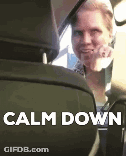 A Woman Is Sitting In The Back Seat Of A Car And Says Calm Down GIF
