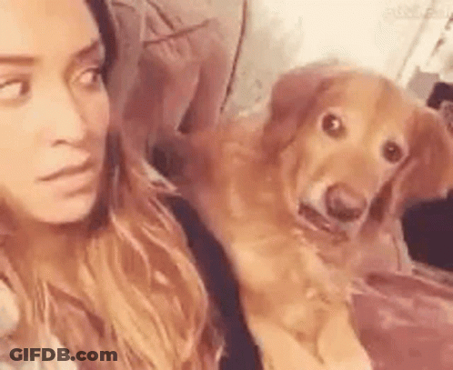 A Woman Is Sitting On A Couch With A Dog Looking At Her . GIF