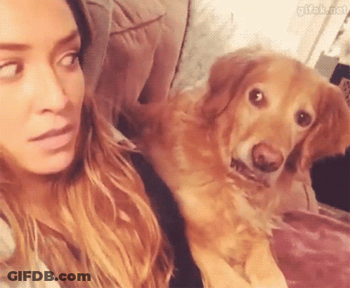 A Woman Is Sitting On A Couch With A Dog On Her Lap Looking At The Camera . GIF