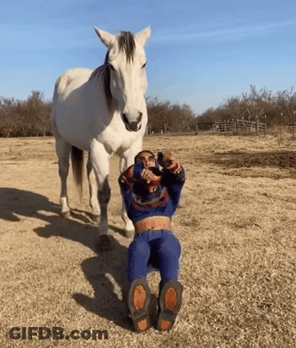 A Woman Is Sitting On The Ground In Front Of A White Horse . GIF