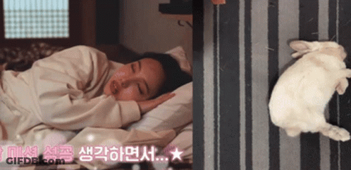A Woman Is Sleeping On A Bed Next To A Rabbit GIF