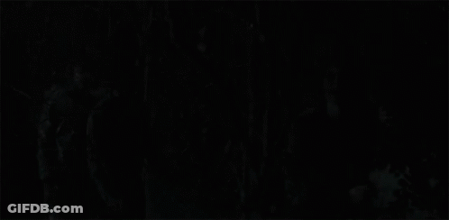 A Woman Is Standing In A Dark Forest With Trees In The Background GIF