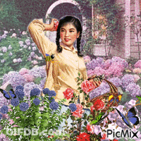 A Woman Is Standing In A Garden Of Flowers Holding A Basket . GIF