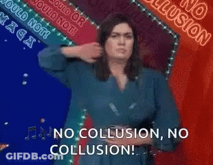 A Woman Is Standing In Front Of A Sign That Says No Collusion No Collusion GIF