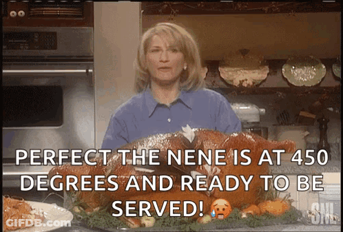 Woman Standing In Front Of Turkey Says Perfect GIF