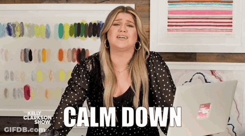 A Woman Is Standing In Front Of A Wall With Paintings And Says Calm Down GIF