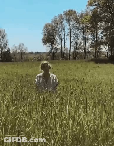 A Woman Is Standing In The Middle Of A Field Of Tall Grass . GIF
