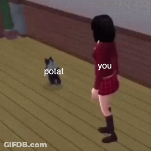A Woman Is Standing Next To A Cat That Says Potat On It GIF