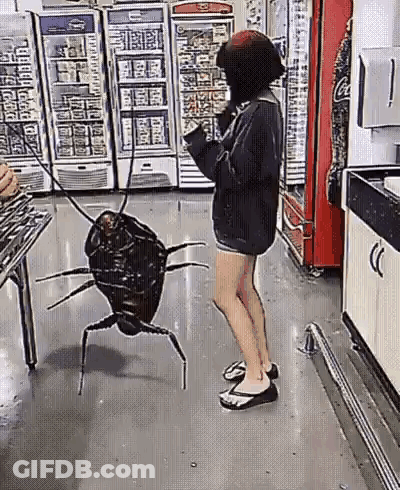 A Woman Is Standing Next To A Giant Cockroach On A Leash In A Store . GIF