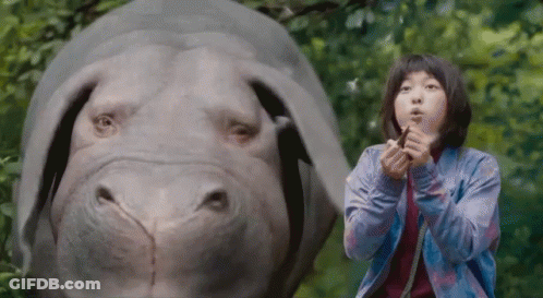 A Woman Is Standing Next To A Rhino And Blowing A Whistle . GIF