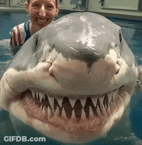 A Woman Is Standing Next To A Shark That Is Looking At The Camera GIF