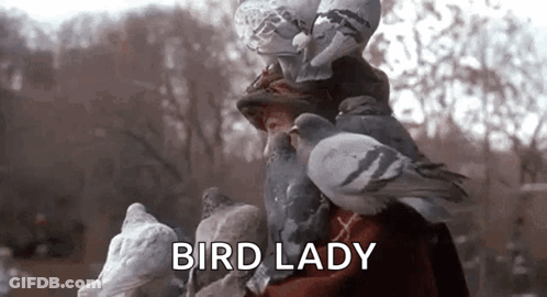 A Woman Is Surrounded By Pigeons And The Words `` Bird Lady '' Are Written Above Her . GIF